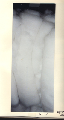 product890